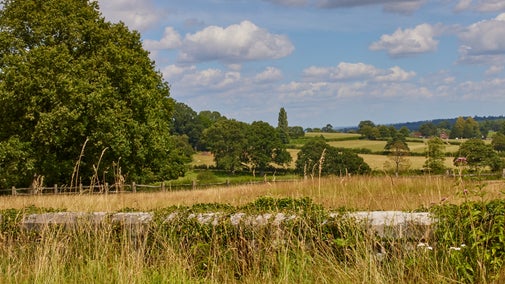 Late summer view over the Scotney Castle Estate, Kent